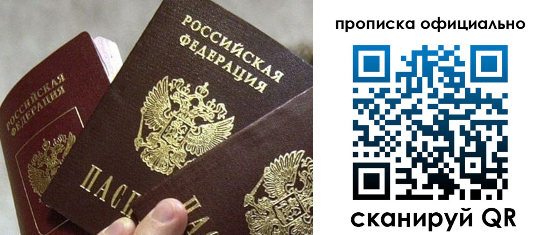 прописка гарантия в Гусь-Хрустальном